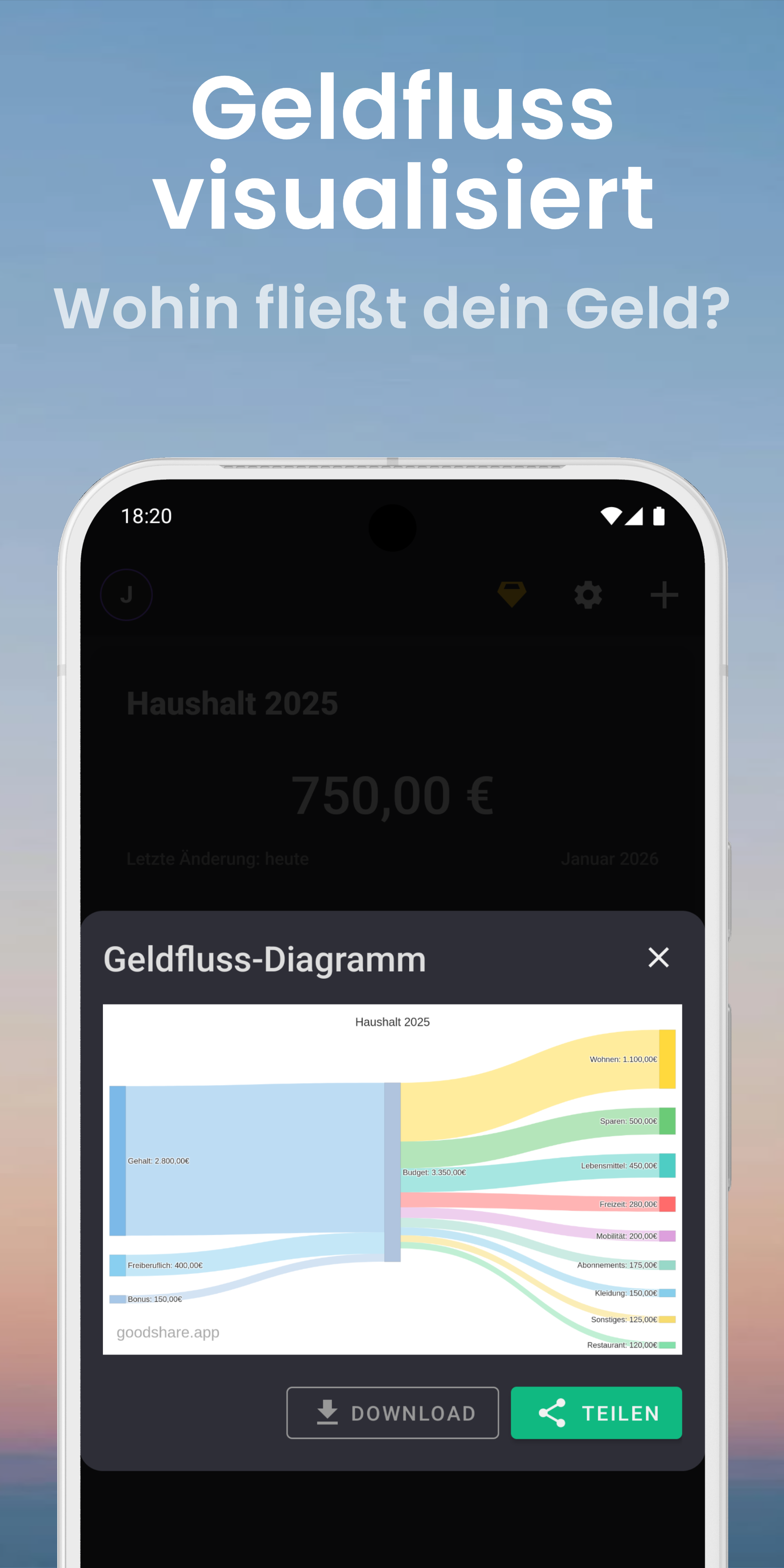 Sankey Cash Flow Diagramm - Geldfluss visualisiert