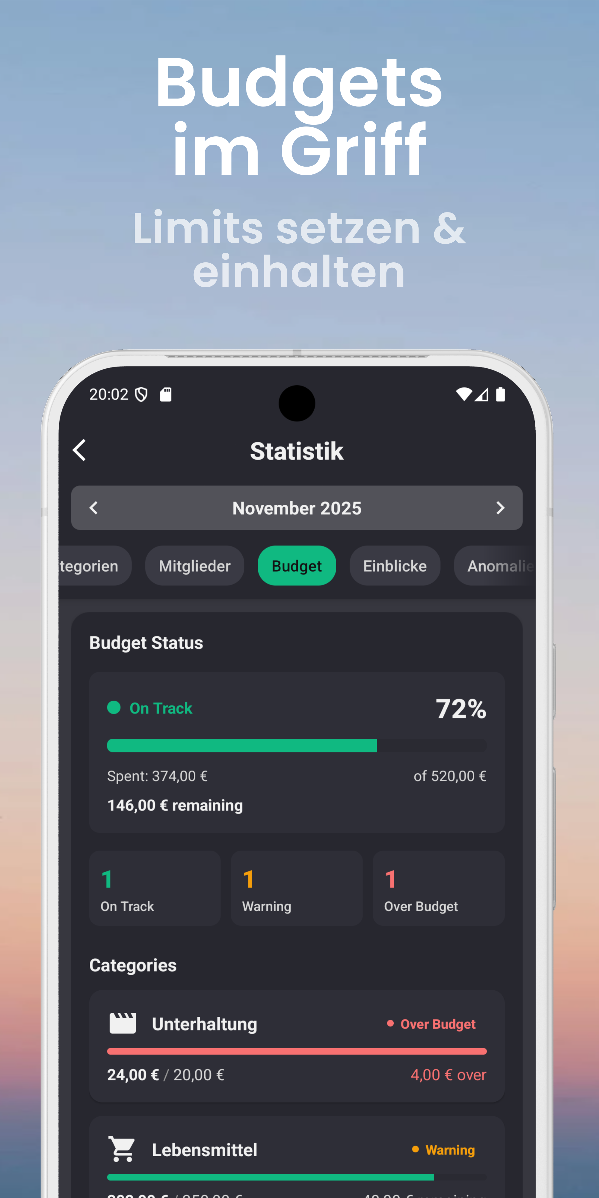 Budget-Tracking - Monatsübersicht