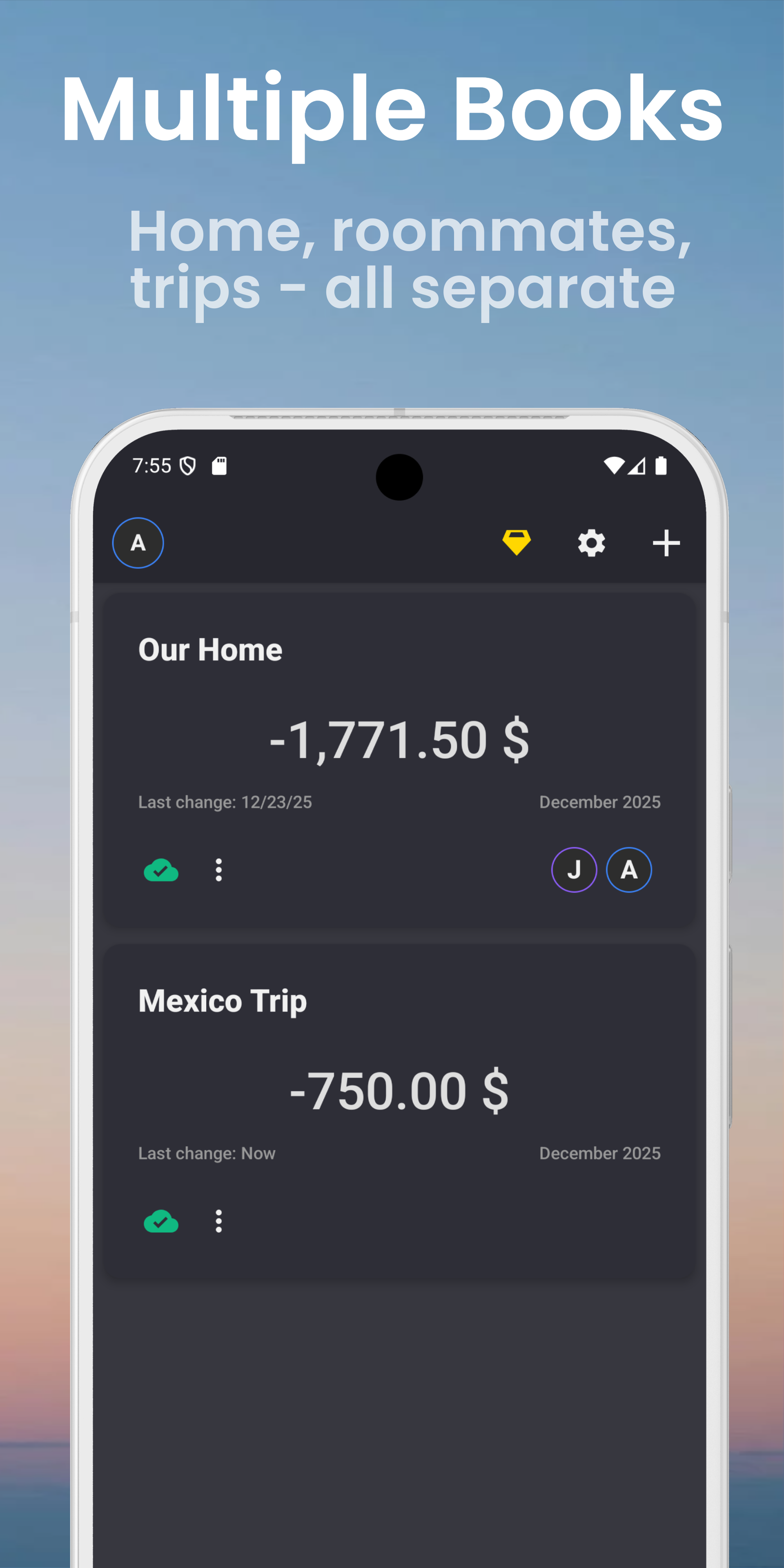 Budget Books Overview