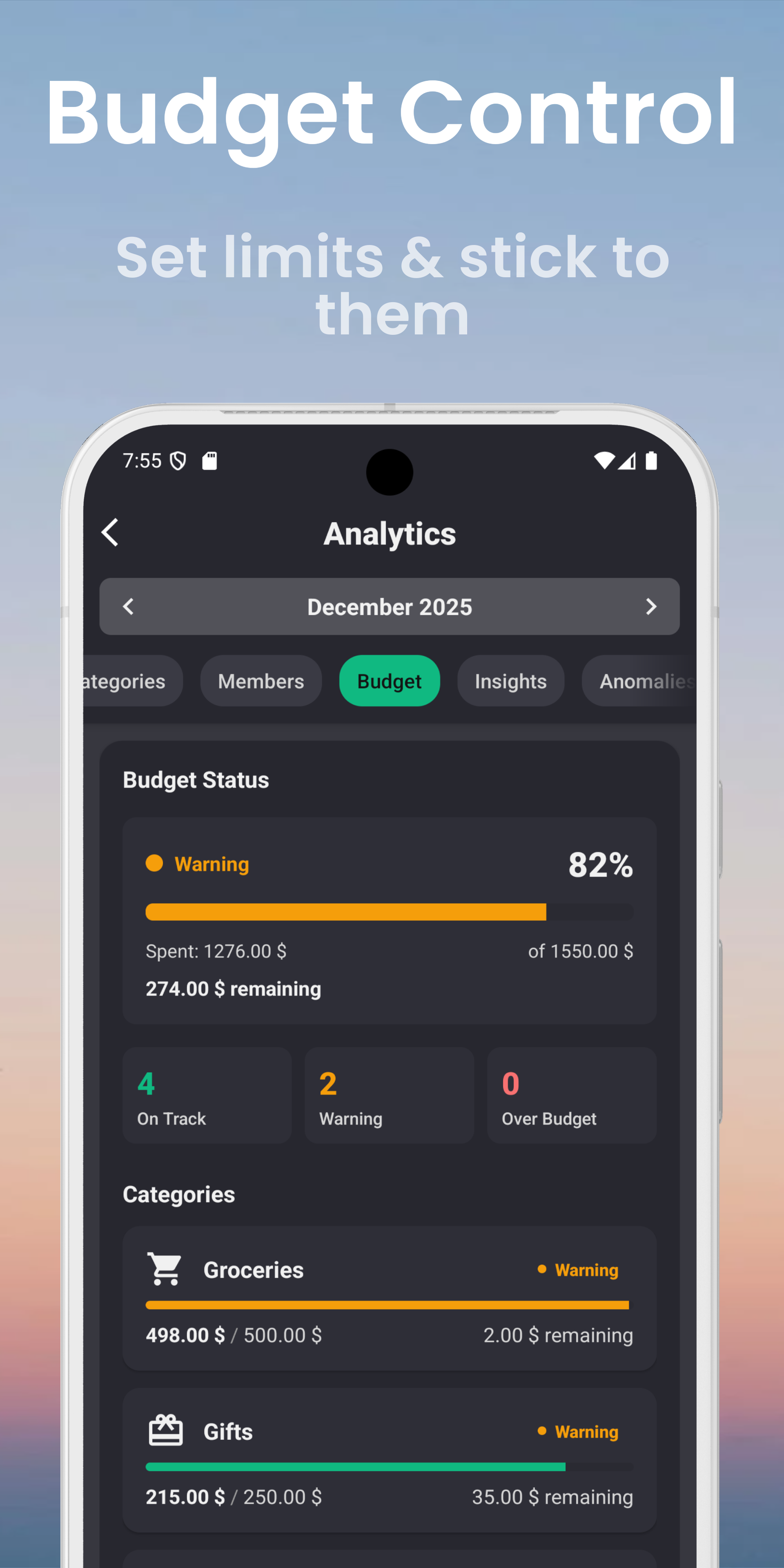 Budget Tracking - Monthly overview